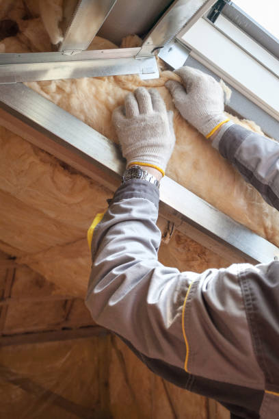 Best Geographic-Specific Insulation Services in Ninety Six, SC