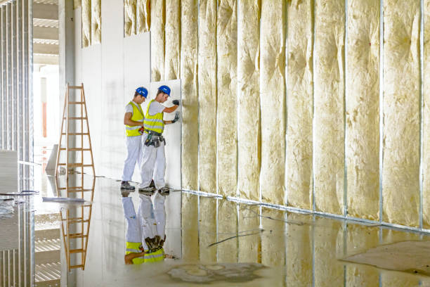 Best Blown-in Insulation in Ninety Six, SC